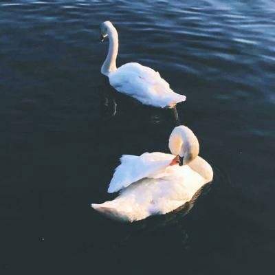 万博全站(ManBetX)下载手机版