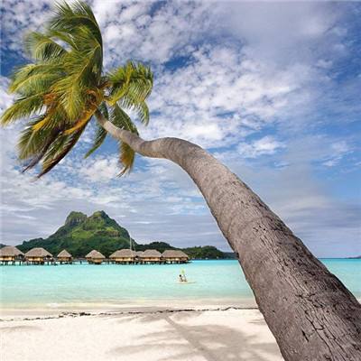 万博全站(ManBetX)下载手机版截图