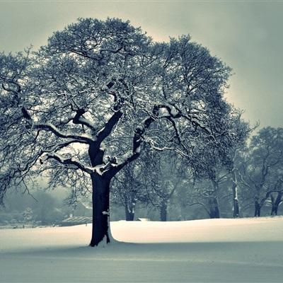 半岛·综合体育