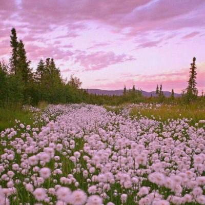 澳门正版资料大全