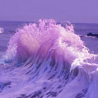 博鱼网页在线登录